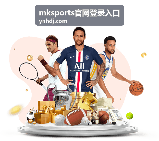 登录问题排查顺序与常见提示含义示意