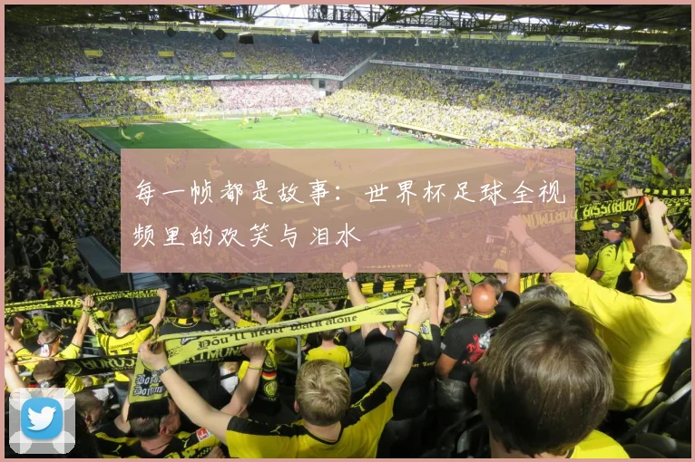 每一帧都是故事：世界杯足球全视频里的欢笑与泪水