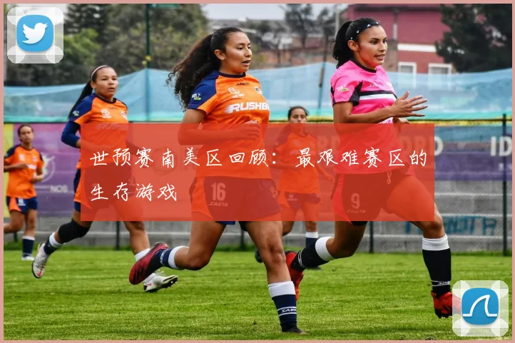 世预赛南美区回顾：最艰难赛区的生存游戏