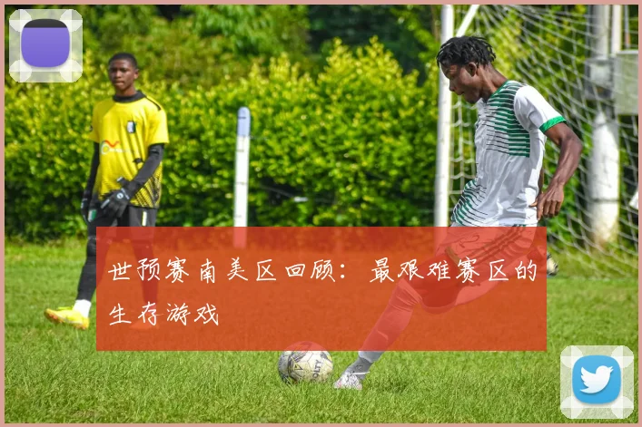世预赛南美区回顾：最艰难赛区的生存游戏