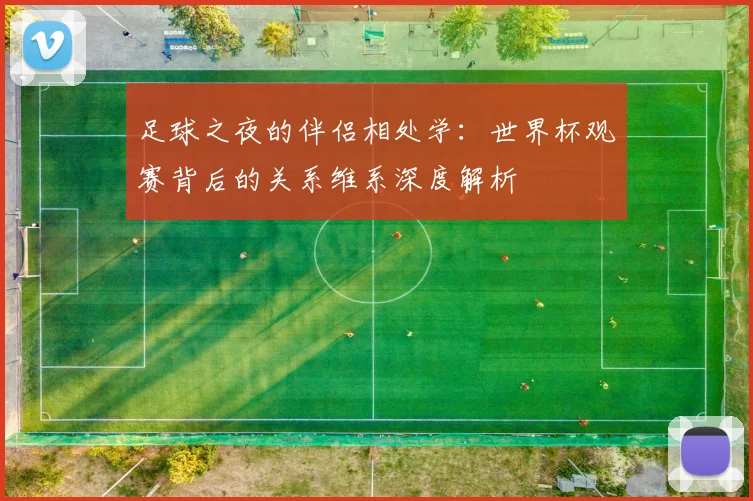 足球之夜的伴侣相处学：世界杯观赛背后的关系维系深度解析