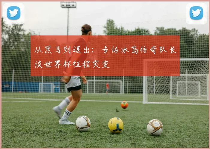 从黑马到退出:专访冰岛传奇队长谈世界杯征程突变
