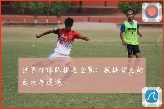 世界杯球队排名全览：数据背后的成功与遗憾