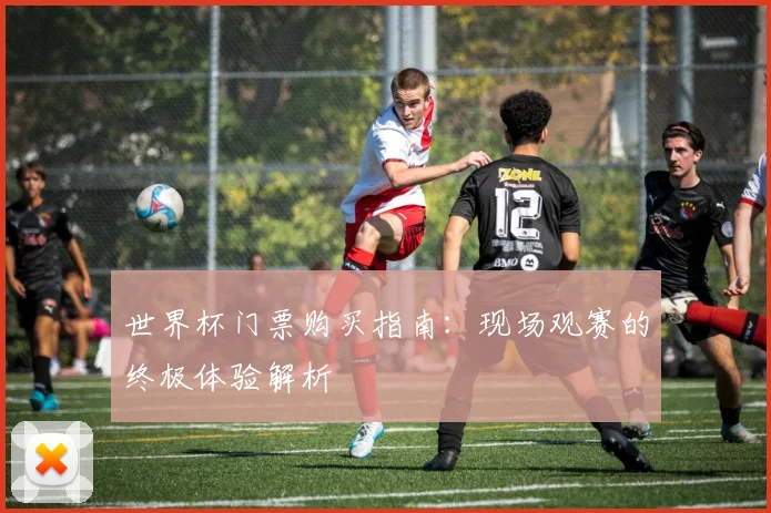 世界杯门票购买指南：现场观赛的终极体验解析