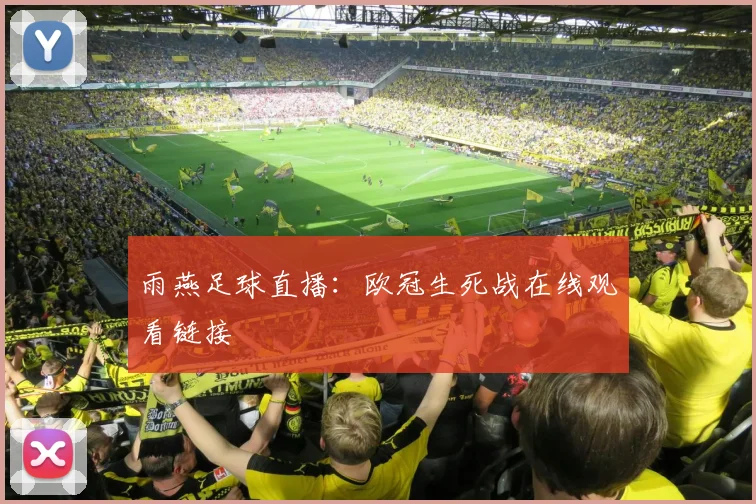 雨燕足球直播：欧冠生死战在线观看链接