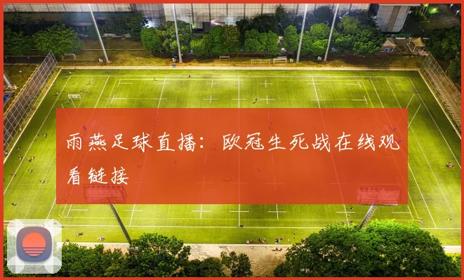 雨燕足球直播：欧冠生死战在线观看链接